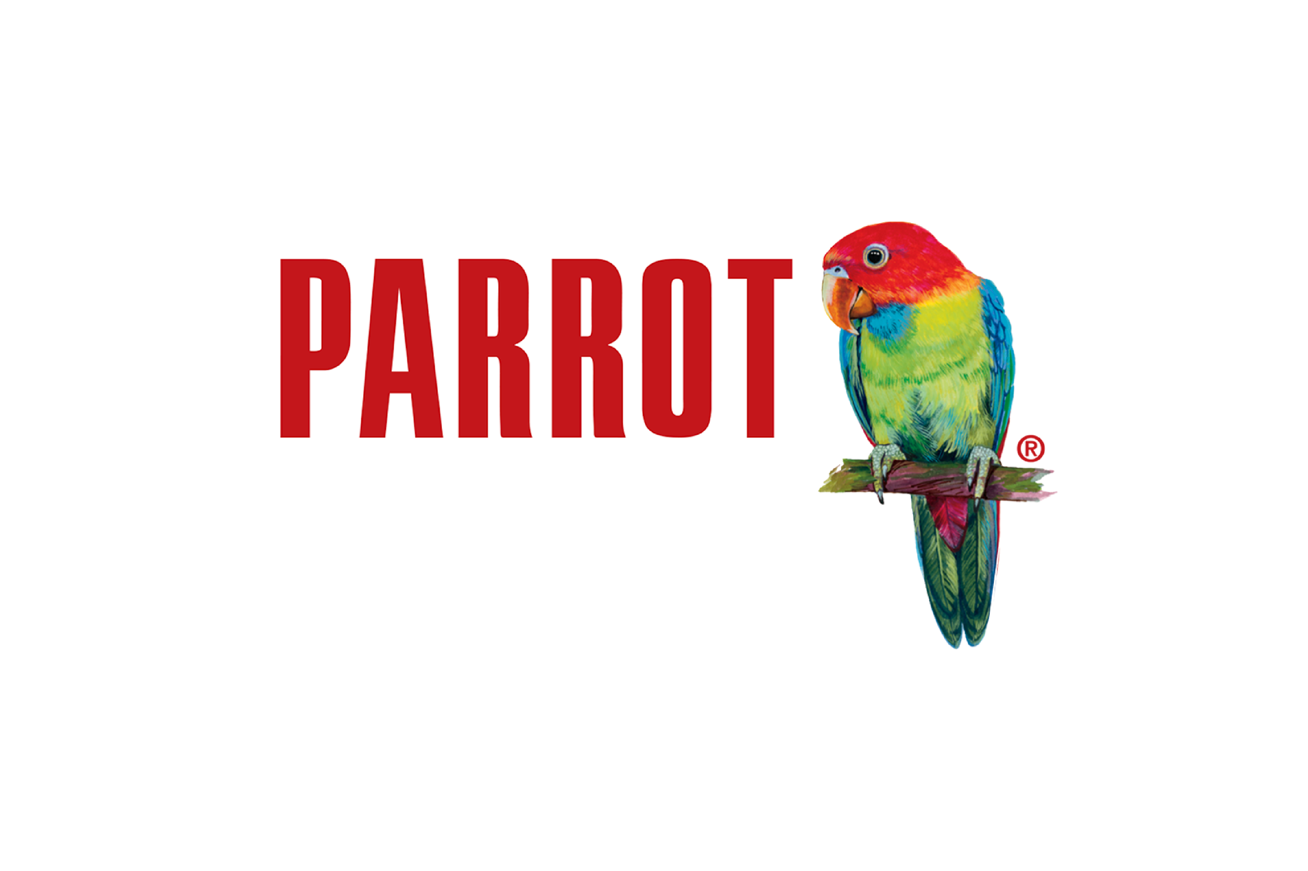 parrot